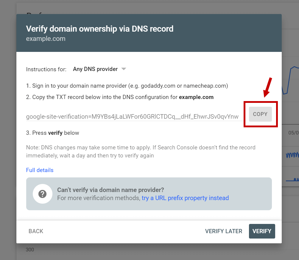 ownership verification via DNS record