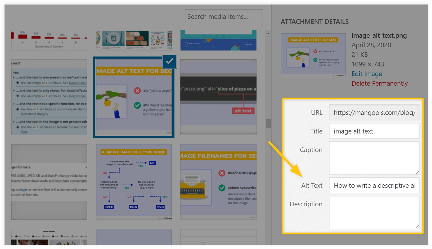 Adding-alt-text-in-WordPress-example